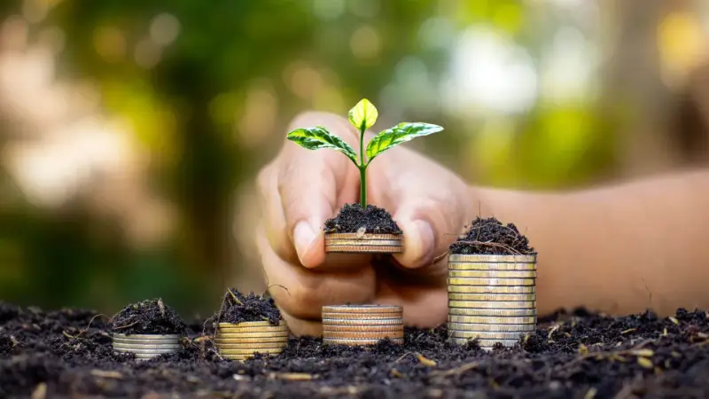 Una mano sostiene una planta joven brotando de monedas apiladas, simbolizando el crecimiento y la inversión en hostelería sostenible.